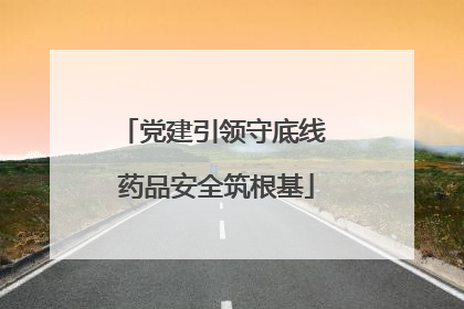 党建引领守底线 药品安全筑根基