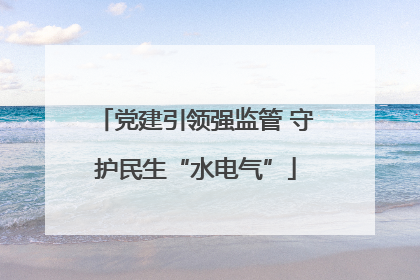 党建引领强监管 守护民生“水电气”