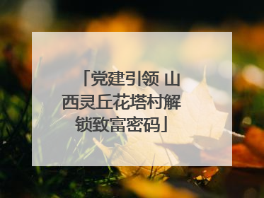 党建引领 山西灵丘花塔村解锁致富密码
