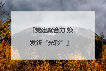 党建聚合力 焕发新“光彩”