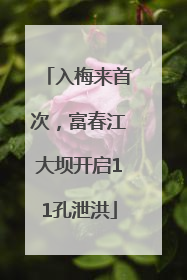 入梅来首次，富春江大坝开启11孔泄洪
