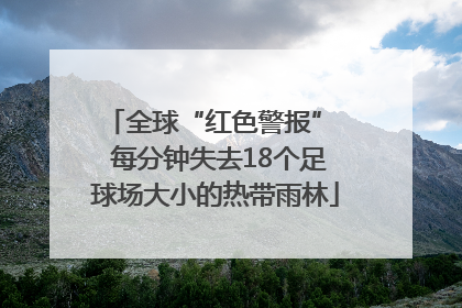 全球“红色警报”  每分钟失去18个足球场大小的热带雨林