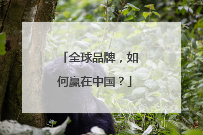 全球品牌，如何赢在中国？