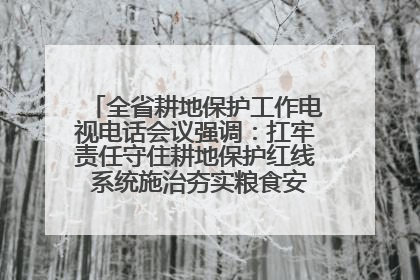 全省耕地保护工作电视电话会议强调：扛牢责任守住耕地保护红线 系统施治夯实粮食安全根基 王宁作出批示 王予波出席并讲话