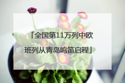 全国第11万列中欧班列从青岛鸣笛启程