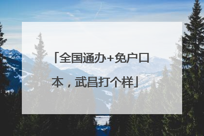 全国通办+免户口本，武昌打个样