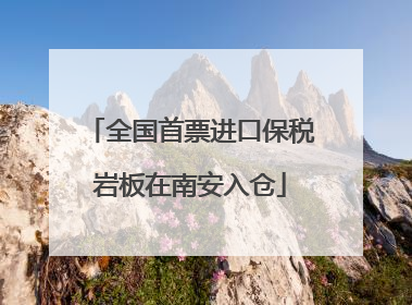 全国首票进口保税岩板在南安入仓