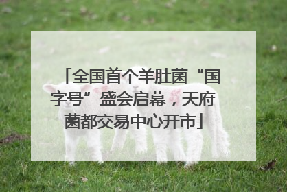 全国首个羊肚菌“国字号”盛会启幕,天府菌都交易中心开市