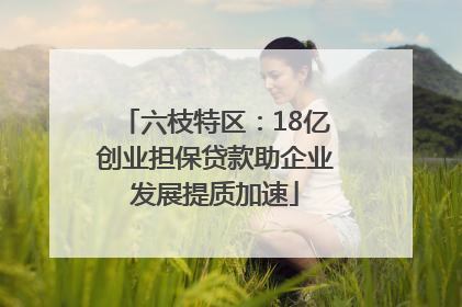 六枝特区：18亿创业担保贷款助企业发展提质加速