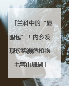 兰科中的“显眼包”！内乡发现珍稀濒危植物毛萼山珊瑚