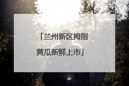 兰州新区拇指黄瓜新鲜上市