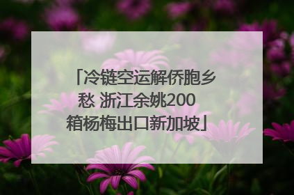 冷链空运解侨胞乡愁 浙江余姚200箱杨梅出口新加坡