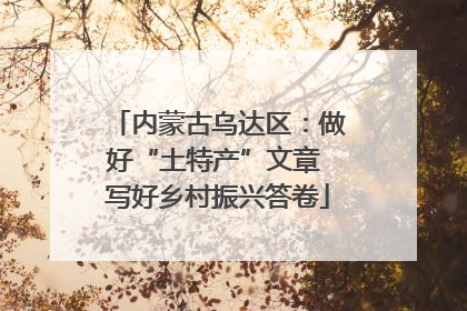 内蒙古乌达区：做好“土特产”文章 写好乡村振兴答卷