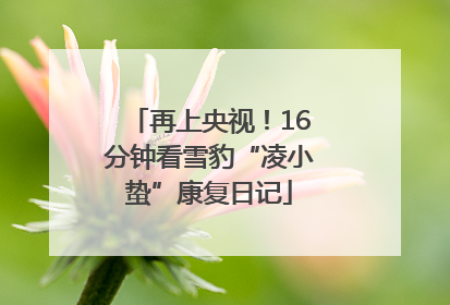 再上央视！16分钟看雪豹“凌小蛰”康复日记