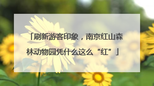 刷新游客印象，南京红山森林动物园凭什么这么“红”