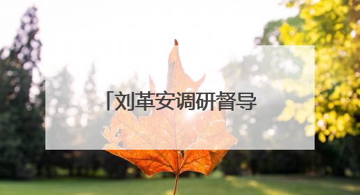 刘革安调研督导防汛抗灾工作