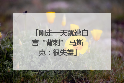 刚走一天就遭白宫“背刺” 马斯克：很失望