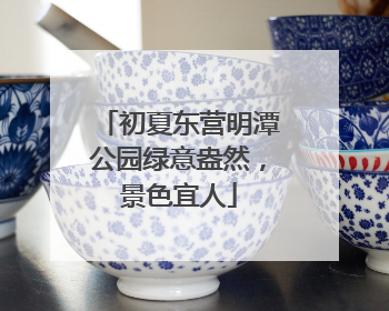 初夏东营明潭公园绿意盎然，景色宜人