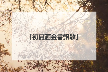 初夏洒金香飘散