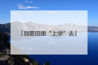 到麦田里“上学”去