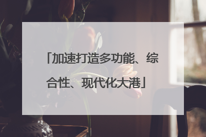 加速打造多功能、综合性、现代化大港