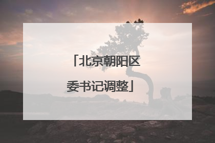 北京朝阳区委书记调整