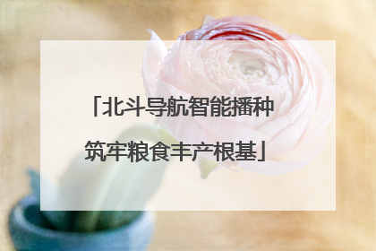 北斗导航智能播种 筑牢粮食丰产根基