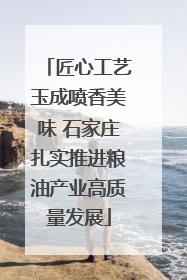 匠心工艺玉成喷香美味 石家庄扎实推进粮油产业高质量发展