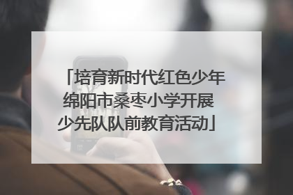 培育新时代红色少年 绵阳市桑枣小学开展少先队队前教育活动