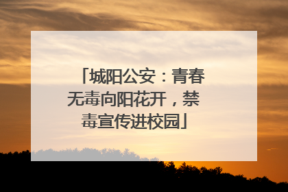 城阳公安：青春无毒向阳花开，禁毒宣传进校园