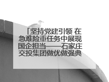坚持党建引领 在急难险重任务中展现国企担当——石家庄交投集团做优做强典型报道之一