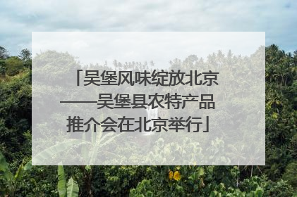 吴堡风味绽放北京——吴堡县农特产品推介会在北京举行