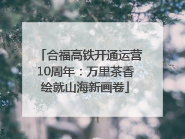 合福高铁开通运营10周年：万里茶香绘就山海新画卷