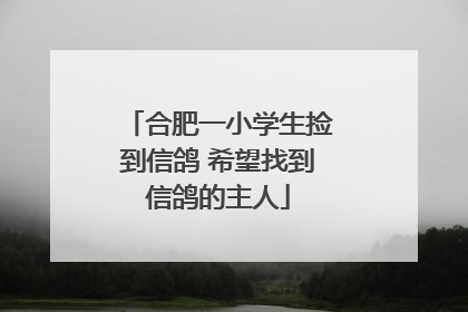 合肥一小学生捡到信鸽 希望找到信鸽的主人