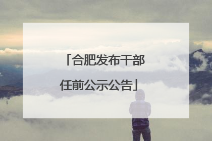 合肥发布干部任前公示公告