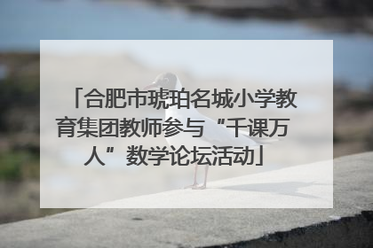 合肥市琥珀名城小学教育集团教师参与“千课万人”数学论坛活动