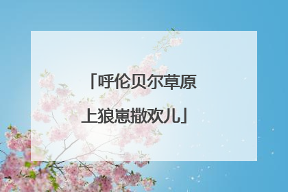 呼伦贝尔草原上狼崽撒欢儿