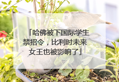 哈佛被下国际学生禁招令，比利时未来女王也被影响了