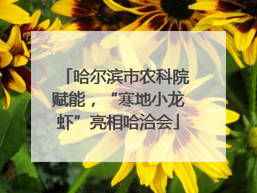 哈尔滨市农科院赋能，“寒地小龙虾”亮相哈洽会