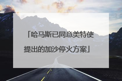 哈马斯已同意美特使提出的加沙停火方案