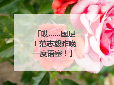 哎……国足！范志毅昨晚一度语塞！