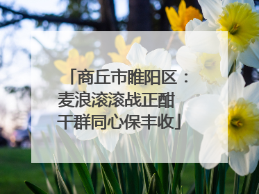 商丘市睢阳区：麦浪滚滚战正酣 干群同心保丰收