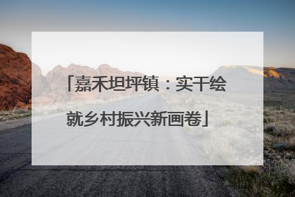 嘉禾坦坪镇：实干绘就乡村振兴新画卷