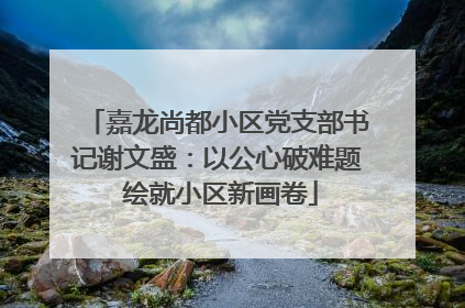 嘉龙尚都小区党支部书记谢文盛：以公心破难题 绘就小区新画卷