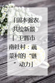 固本强农 共绘新景 ︳卫辉市南社村：蔬菜村的“链”动力