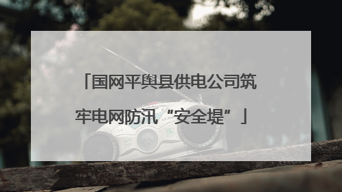 国网平舆县供电公司筑牢电网防汛“安全堤”