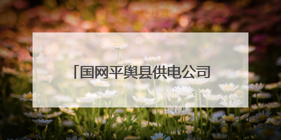 国网平舆县供电公司：迎峰度夏保供电  数智赋能守清凉
