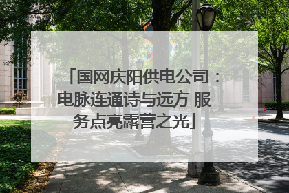 国网庆阳供电公司：电脉连通诗与远方 服务点亮露营之光