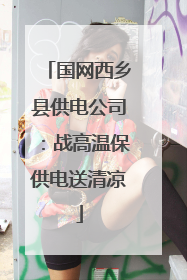 国网西乡县供电公司：战高温保供电送清凉