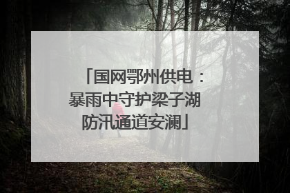 国网鄂州供电：暴雨中守护梁子湖防汛通道安澜